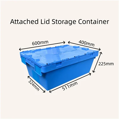 Container de depozitare cu capac atașat
